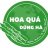 hoaquadungha